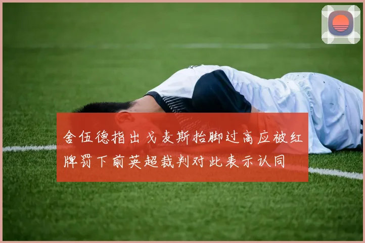 舍伍德指出戈麦斯抬脚过高应被红牌罚下前英超裁判对此表示认同