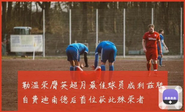 勒温荣膺英超月最佳球员成利兹联自费迪南德后首位获此殊荣者